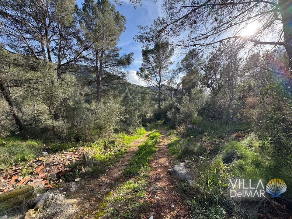 Helårsgrund i Jalon, Alicante - foto 5